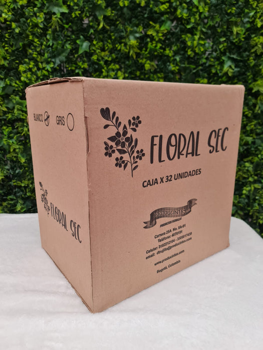 Espuma Floral Sec X 1 Unidad